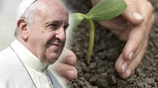francisco el papa del medio ambiente
